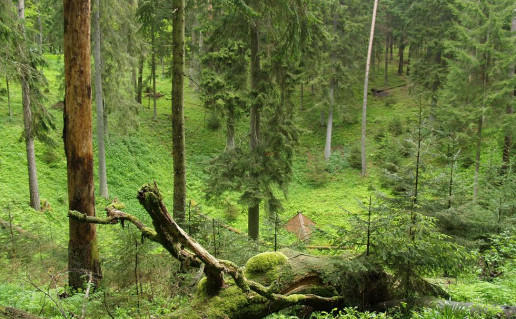 4. Strėvos įgriuva.jpg